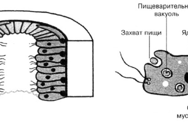 Кракен сайт store