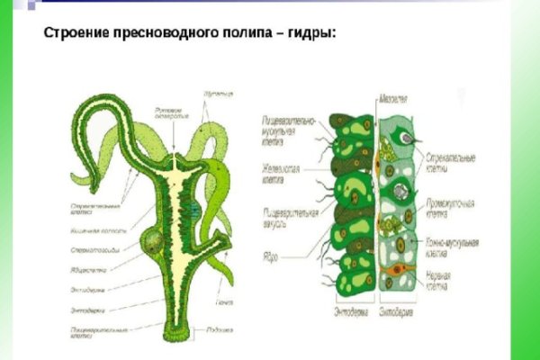 Ссылка на кракен в тор