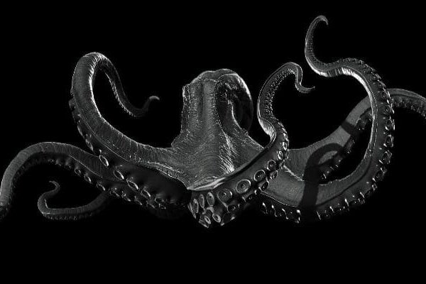 Регистрация в kraken