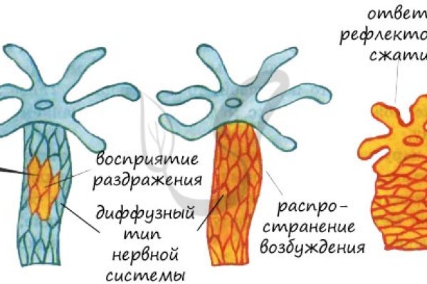 Кракен сайт kr2web in официальный ссылка